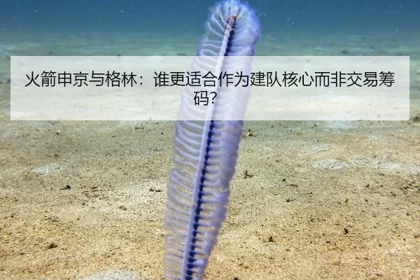 火箭申京与格林：谁更适合作为建队核心而非交易筹码？